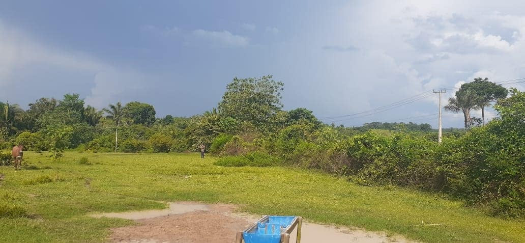 Propriedade Rural - 2.000.000m2 - Itaituba/PA