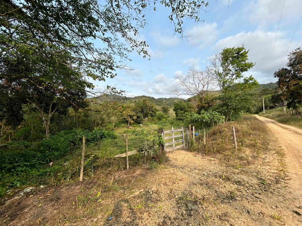 Fazenda 102 alqueires - Barra do Turvo, SP