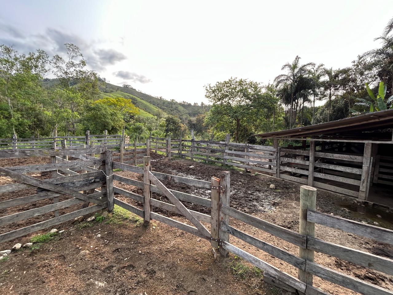 Fazenda 102 alqueires - Barra do Turvo, SP