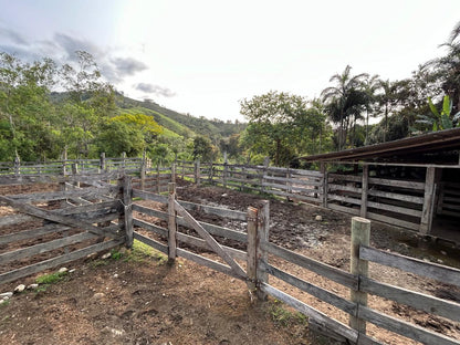 Fazenda 102 alqueires - Barra do Turvo, SP