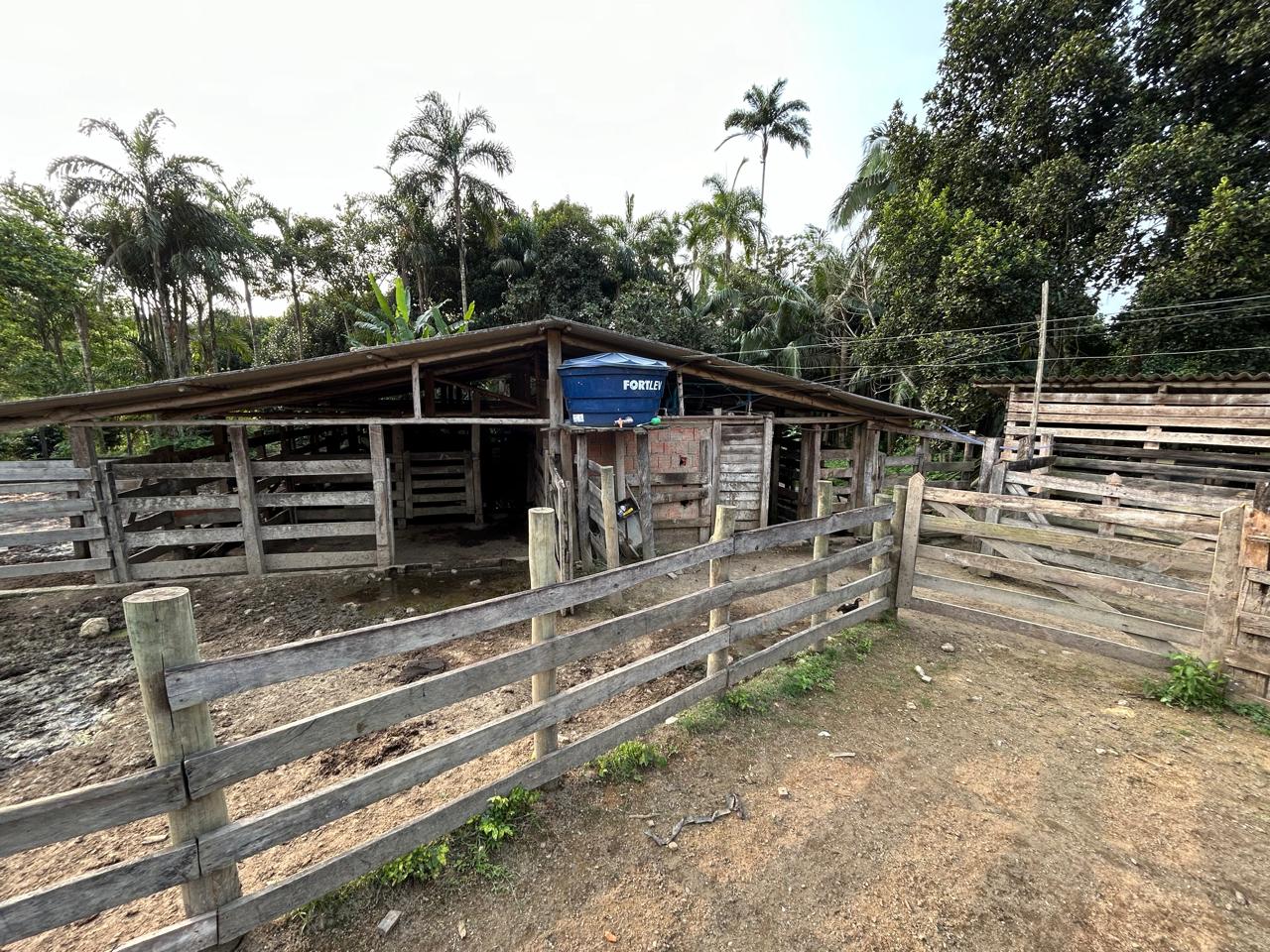 Fazenda 102 alqueires - Barra do Turvo, SP
