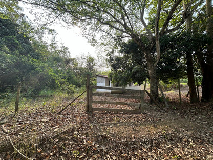 Fazenda 102 alqueires - Barra do Turvo, SP