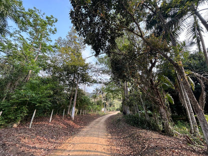 Fazenda 102 alqueires - Barra do Turvo, SP