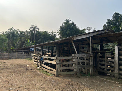 Fazenda 102 alqueires - Barra do Turvo, SP