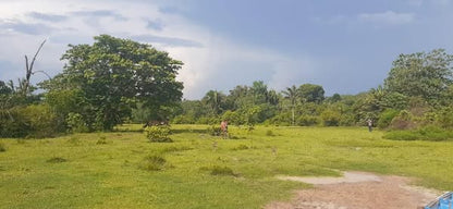 Propriedade Rural - 2.000.000m2 - Itaituba/PA