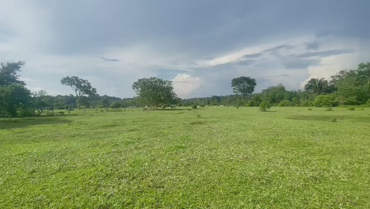 Propriedade Rural - 2.000.000m2 - Itaituba/PA