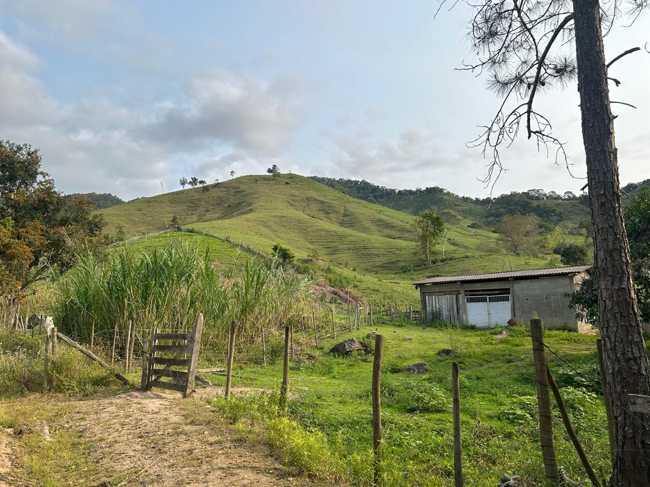 Fazenda à Venda – 246 Hectares – Barra do Turvo/SP