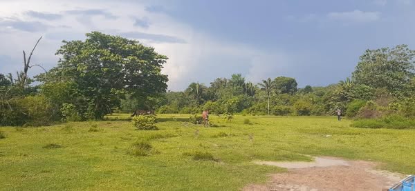Fazenda à Venda – 100 Hectares – Itaituba/PA