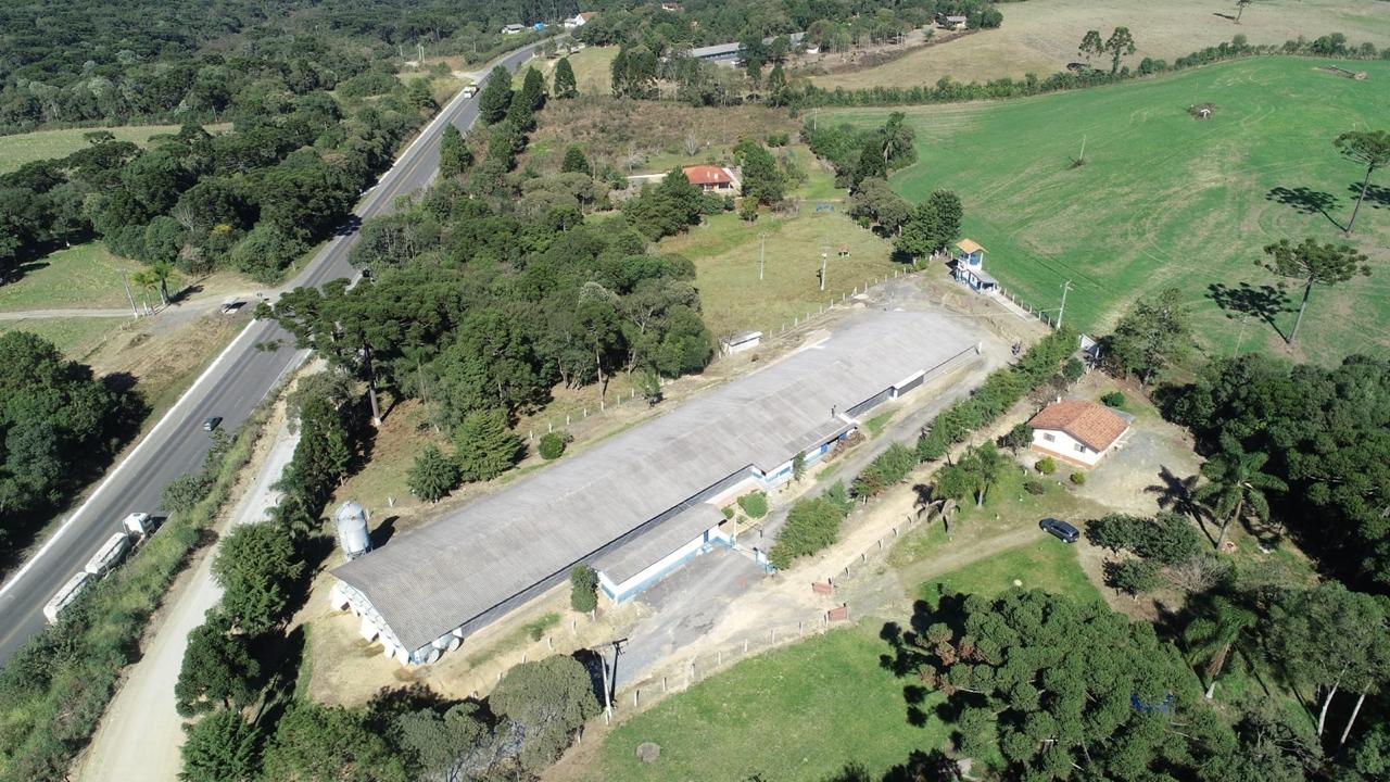 Granja à Venda – 1 Alqueire – Faxinal dos Castilhos/Lapa/PR